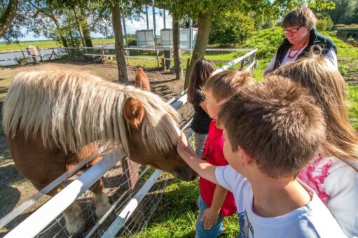 Buntes Ferienprogramm im Natureum