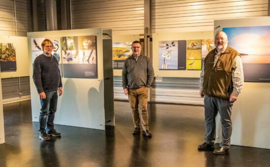 „Wildnis Niedersachsen“ im Natureum