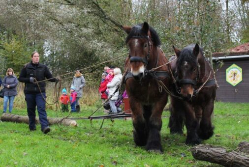 Ein tierisches Wochenende im Natureum