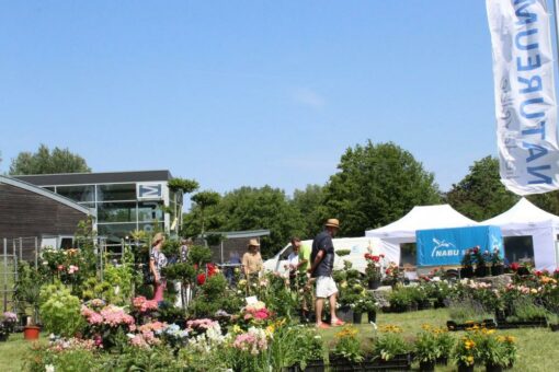 „GartenMagie“ im Natureum Niederelbe findet statt