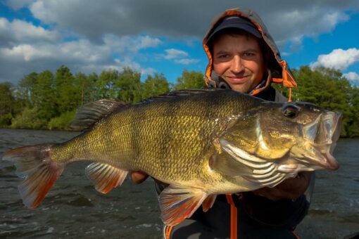Gefahren für das Ökosystem Fluss