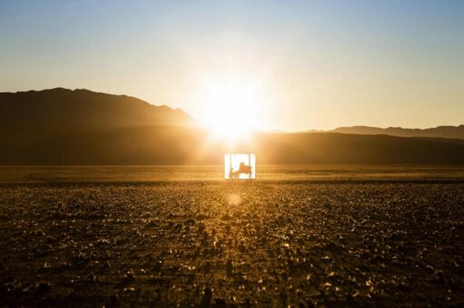 stranger – Aus der Wüste in die Welt: Welturaufführung der Symphonie „mankind“ – das Werk entstand in 40 Tagen völliger Isolation in der Wüste Namib – eine musikalische Reise, die unser menschliches Dasein neu erlebbar macht
