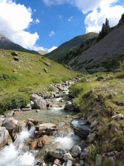 Absage an Wasserkraftwerke im Nationalpark – Nordmazedonien widerruft Konzessionen