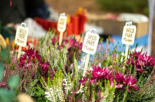 Herbstmarkt im Wildpark Müden (Unterhaltung / Freizeit | Faßberg)