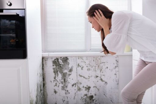 Runter mit der Heizung: Wie lässt sich Schimmelbildung vermeiden?