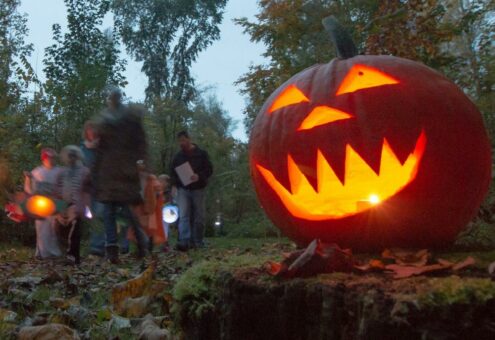 Kürbisgeister und Hexenbesen