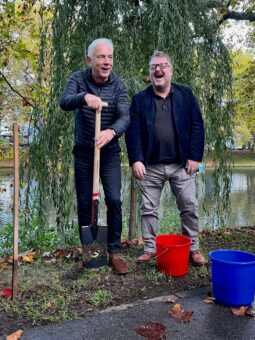 40.000 Krokusblüten für ein blaues Blütenband