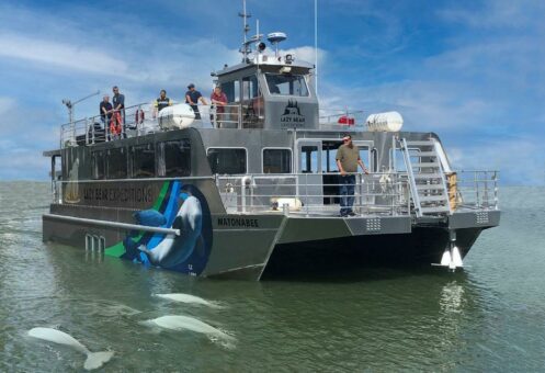 Lazy Bear Expeditions mit neuem Boot am Start: Unterwasser-Beluga-Whale Watching in Churchill