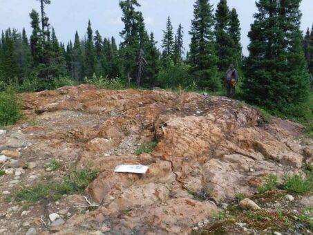 Kursgewinne besonders bei Lithium- und Urangesellschaften möglich