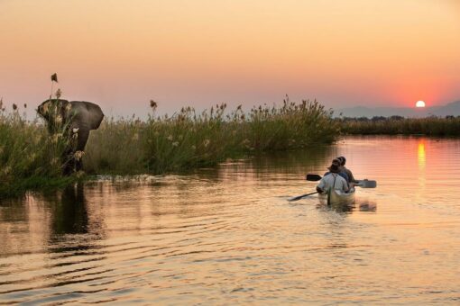 ‘Stay Fit on Safari’-Erlebnisse mit Great Plains