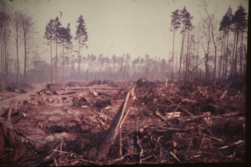 50 Jahre nach Sturm „Quimburga“ – sichtbare Erfolge und wichtige Lehren