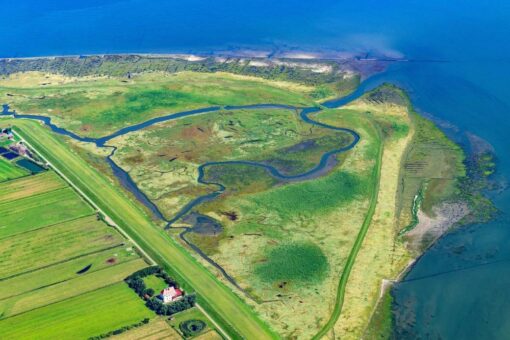 Vor 30 Jahren: Anerkennung der drei Biosphärenreservate Hamburgisches Wattenmeer, Niedersächsisches Wattenmeer und Pfälzerwald durch die UNESCO