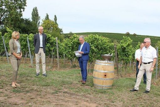 Bundeslandwirtschaftsministerin Klöckner informiert sich am Julius Kühn-Institut (JKI) in Siebeldingen über Züchtungsarbeiten zur Anpassung des Weinbaus an den Klimawandel sowie Pflanzenschutzaspekte