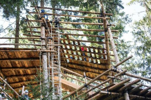 Erfolgsprojekt „Baumhaus-Camp“ im Wald der Stiftung Schönau geht in die nächste Runde