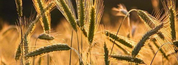 Zeichnungsstart der neuen Katjes Greenfood-Anleihe 2022/27 (A30V3F)