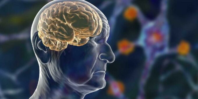 Proteinstrukturen zeigen Parkinson-Krankheit an