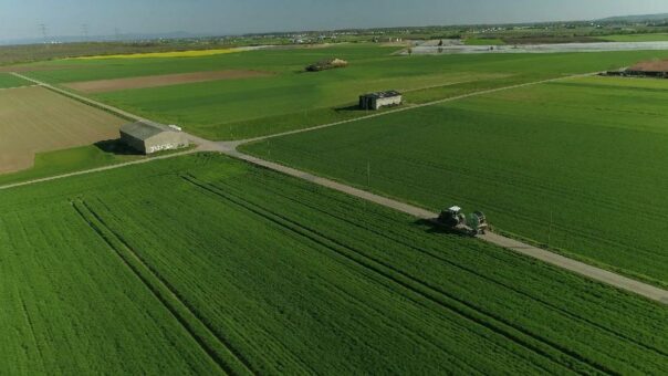 „Eselswiese“ in Rüsselsheim am Main: Neues Wohn- und Gewerbegebiet nimmt Fahrt auf