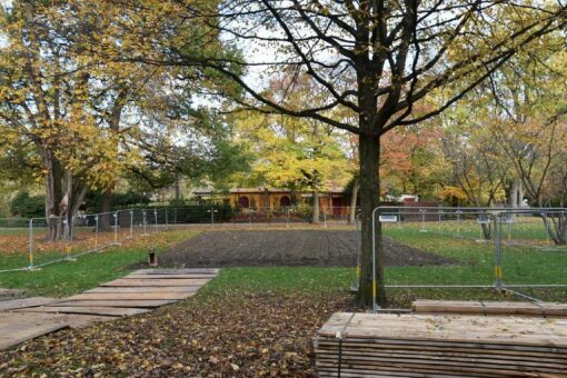 StEB Köln: Sanierung des Volksgartenweihers – Frösche und Kröten ziehen um