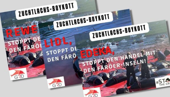 Zuchtlachs-Boykott, um Massaker an Delfinen zu verhindern