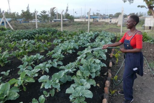 Potenziale nachhaltiger Agrarwirtschaft in Ostafrika