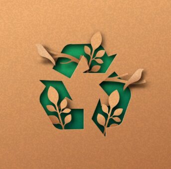 Brasilien: SIG investiert in neue Recyclingtechnologie zur Wertsteigerung recycelter Kartonpackungen