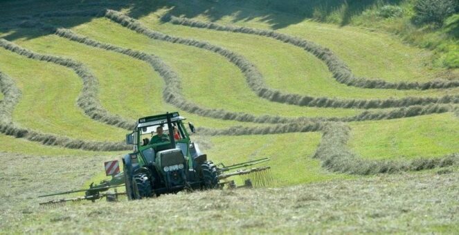 BioHeumilch aus Rhön und Vogelsberg