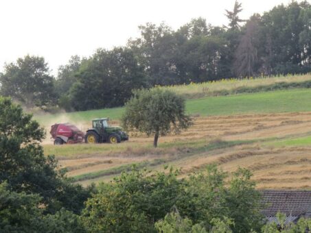 Bioregional und regional- vor allem jetzt!