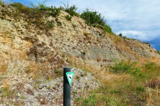 Naturdenkmal Kalkwand am Steinbruch Maar: Meeresboden, verarbeitet zu Branntkalk und Mörtel