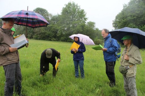 Die Jury hat getagt: Beste Bergmähwiese wird bekannt gegeben