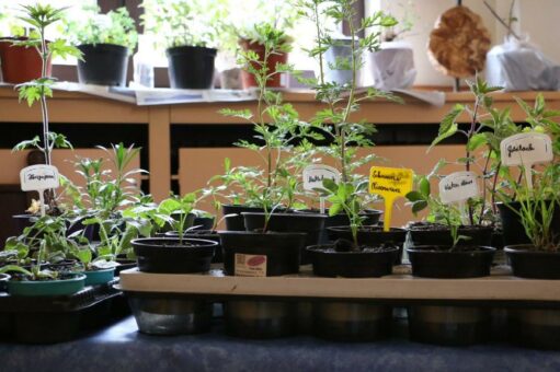 Einfach so weitermachen geht nicht