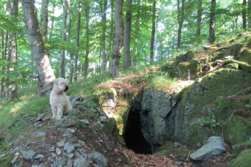 NATURDENKMAL Wildholl-Loch Unter-Seibertenrod: Ein Zufluchtsort für Hirten und die Wilde Holle im Lohwald