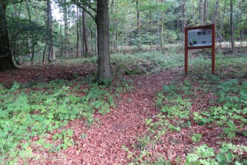 NATURDENKMAL Sauborn Kaulstoß:  Artenreicher Grenzlebensraum und Stellvertreter für über 1.000 Quellen im Vogelsberg