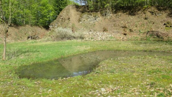 NATURDENKMAL Steinbruch Sängersberg: Frühere Fliehburg ist heute Fluchtpunkt für seltene Arten