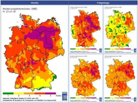 Waldbrandgefahr wächst: Kreisverwaltung ruft Bürger zu erhöhter Achtsamkeit auf