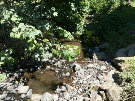 Angespannte Gewässersituation durch Trockenheit