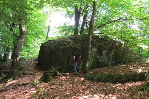 NATURDENKMAL Schon bei den Kelten ein kraftvoller Ort