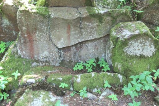 NATURDENKMAL Wiege des Christkindes