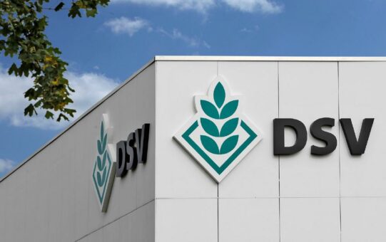 Deutsche Saatveredelung erreicht 15 % mehr Umsatz