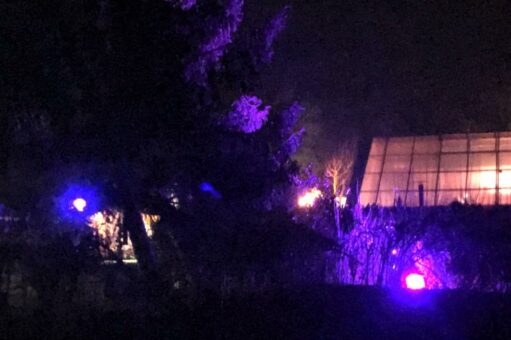 Lichterwald in Birkenried, 17./18. Dezember zur Dämmerung Stille, die gut tut