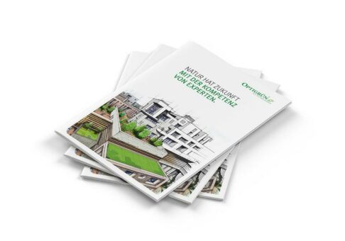 Gebäudebegrünung für eine zukunftsträchtige Stadtplanung