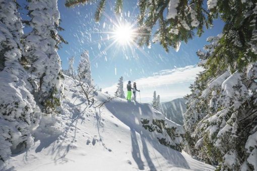 Eine Winterwunderwelt voller guter Ideen: Bayerischer Wald