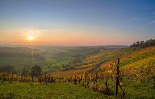 Neun „Weinsüden Weinorte“ im Land der 1000 Hügel ausgezeichnet