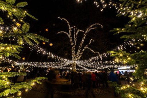 Rund 430.000 Besucher – Tierpark wieder auf vor-Corona-Niveau!