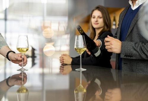 Berufsbegleitend weiterbilden: Studien- und Kursangebote im Bereich Weinwirtschaft und Weinbau