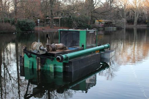 Volksgartenweiher wird leergepumpt