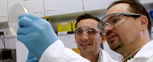Forschende aus Würzburg und den USA entdecken neue Art der CRISPR-Genschere