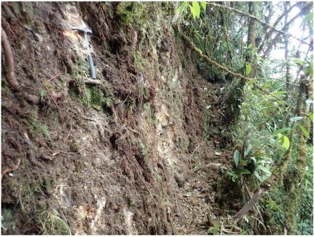 Aurania berichtet über die Tatasham-Bohrkampagne in Ecuador