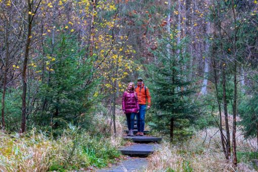Wanderung zur Luisenbank