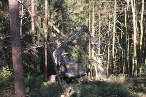 Waldförderung erhöht Unfallrisiko