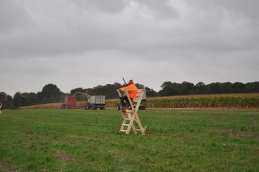 Die sichere Erntejagd